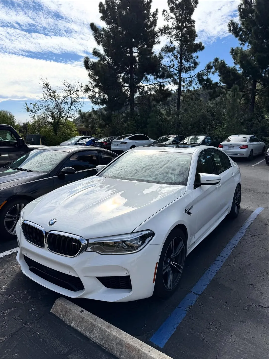 2019 BMW M5